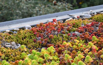 the cost of Rendham green roof installation