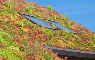 Rendham living roof systems